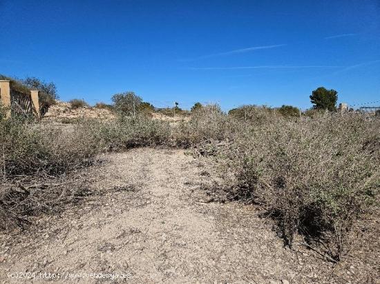 TERRENO VALLADO CON AGUA DE RIEGO Y TOMA DE LUZ - ALICANTE