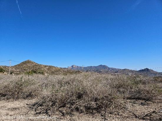 TERRENO VALLADO CON AGUA DE RIEGO Y TOMA DE LUZ - ALICANTE