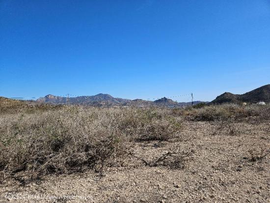 TERRENO VALLADO CON AGUA DE RIEGO Y TOMA DE LUZ - ALICANTE