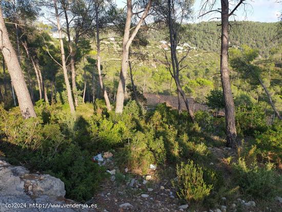  Terreno urbano situado en la Urbanización Las Colinas de Olivella. - BARCELONA 