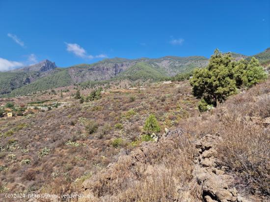 Terreno rural en venta con vistas al mar en Arafo - SANTA CRUZ DE TENERIFE