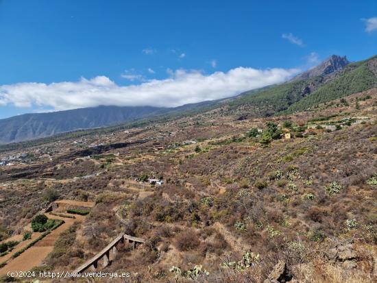 Terreno rural en venta con vistas al mar en Arafo - SANTA CRUZ DE TENERIFE