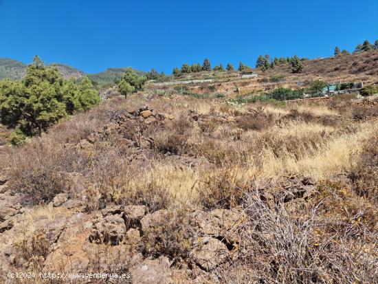 Terreno rural en venta con vistas al mar en Arafo - SANTA CRUZ DE TENERIFE