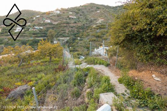 Casa Rústica con Cultivo de Aguacates en Torrox - MALAGA