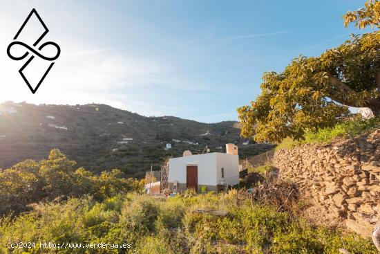 Casa Rústica con Cultivo de Aguacates en Torrox - MALAGA