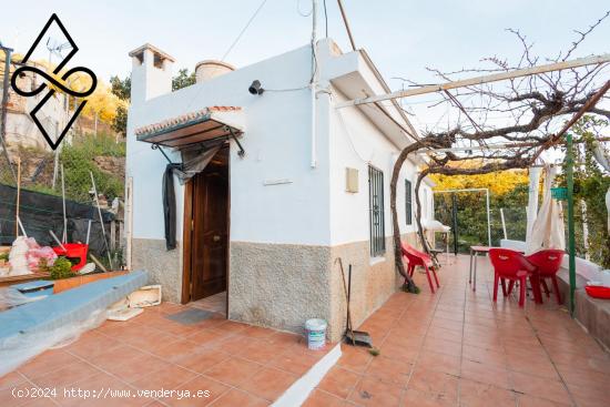 Casa Rústica con Cultivo de Aguacates en Torrox - MALAGA