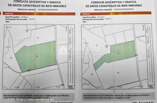 SE VENDE FINCA RÚSTICA EN PRODUCIÓN DE UVA O HUERTO SOLAR - ALICANTE