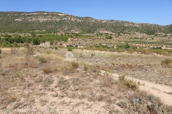 VENTA DE PARCELA EN LA ROMANA . MONOVAR - ALICANTE