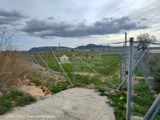 SE VENDEN DOS FINCAS CON PRODUCCION DE UVA EN MONFORTE DEL CID - ALICANTE