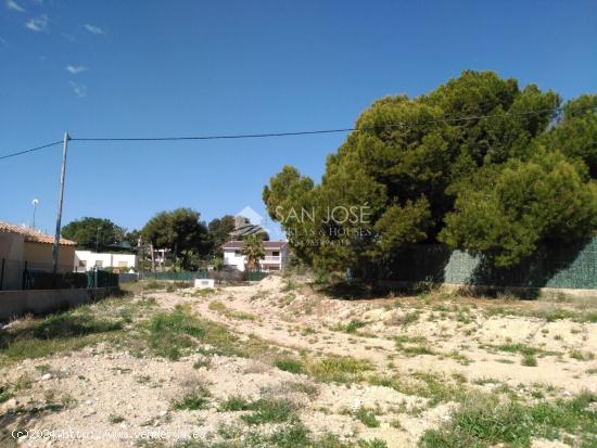 SE VENDE TERRENO APTO PARA C0NSTRUIR EN ELCHE - ALICANTE