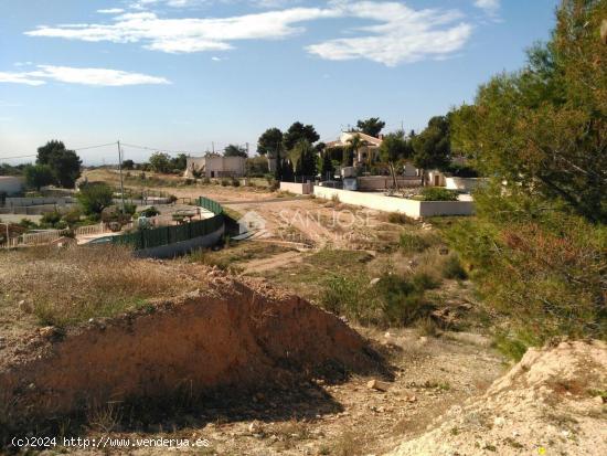 SE VENDE TERRENO APTO PARA C0NSTRUIR EN ELCHE - ALICANTE