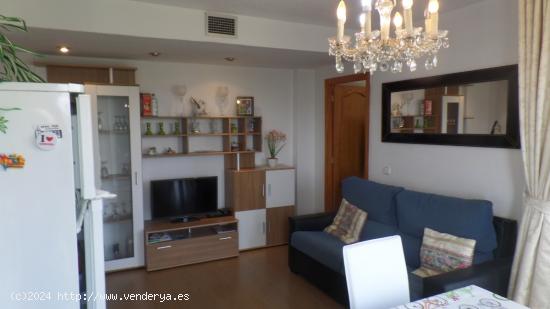  BENIDORM VENDO 1 DORMITORIO DOBLE.MILPISOS.ES - ALICANTE 