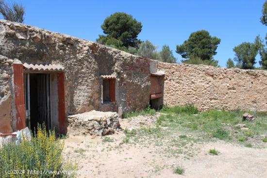 Se vende casa-cueva en Monovar con 2000 metros de terreno!!! - ALICANTE