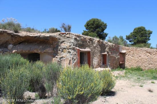 Se vende casa-cueva en Monovar con 2000 metros de terreno!!! - ALICANTE