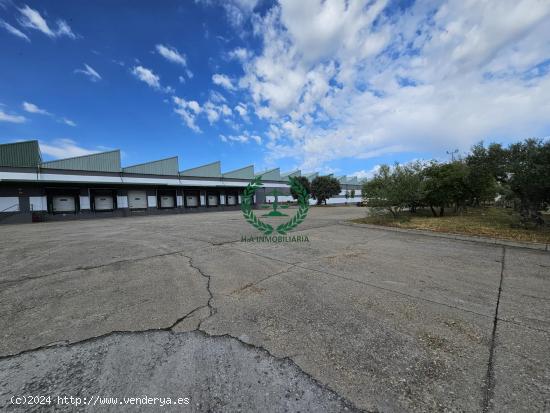 ALQUILER DE NAVE JUNTO A COLMENAR VIEJO  (3.650 M2 almacén + 3.000 M2 playa) - MADRID