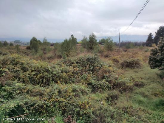 TERRENO PARA HUERTA A LA VENTA UBICADO EN EL LLOMBO. - VALENCIA