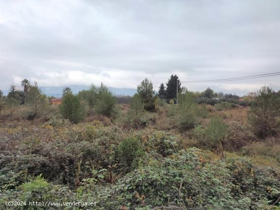 TERRENO PARA HUERTA A LA VENTA UBICADO EN EL LLOMBO. - VALENCIA