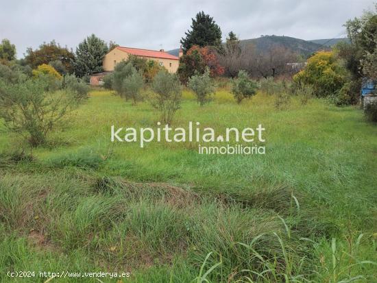 TERRENO PARA HUERTA A LA VENTA UBICADO EN EL LLOMBO. - VALENCIA