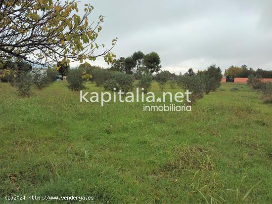 TERRENO PARA HUERTA A LA VENTA UBICADO EN EL LLOMBO. - VALENCIA