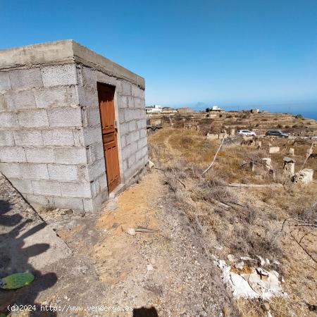 Terreno en el escobonal con cuarto de aperos. - SANTA CRUZ DE TENERIFE