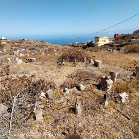 Terreno en el escobonal con cuarto de aperos. - SANTA CRUZ DE TENERIFE