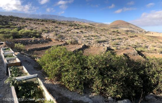  Terreno Fasnia - SANTA CRUZ DE TENERIFE 