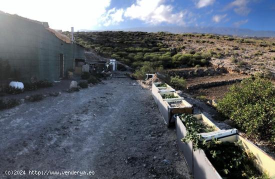 Terreno Fasnia - SANTA CRUZ DE TENERIFE