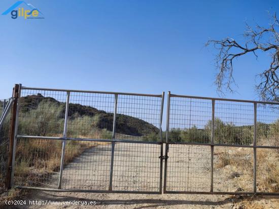 ESTUPENDA PARCELA POR LA CARRETERA DE PRUNA. EN LA CANTERA - SEVILLA