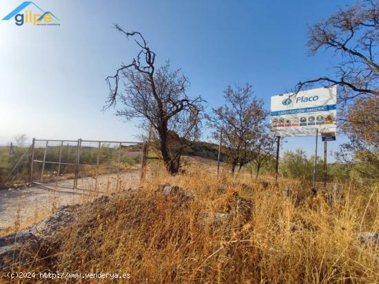 ESTUPENDA PARCELA POR LA CARRETERA DE PRUNA. EN LA CANTERA - SEVILLA