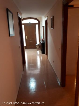 OPORTUNIDAD . CHALET ADOSADO EN OLULA DEL RIO. ALMERÍA. - ALMERIA