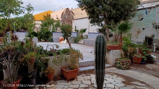 IMPRESIONANTE CASA EN OLULA DEL RÍO( ALMERÍA) PARA REFORMAR - ALMERIA