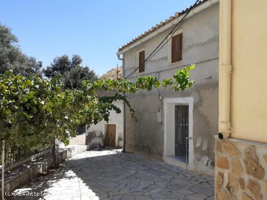  CASA FAMILIAR DE CAMPO DE CINCO HABITACIONES EN SERÓN, ALMERÍA. - ALMERIA 