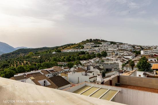 ESPECTACULAR CASA EN PRADO DEL REY - CADIZ