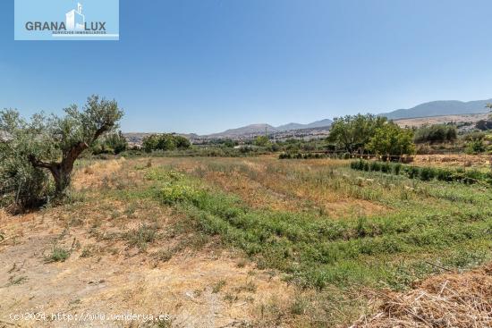 FINCA RÚSTICA EN ZONA INMEJORABLE, JUNTO C.C. ALHSUR - GRANADA