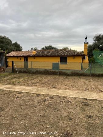 MAGNIFICA FINCA RÚSTICA  CON CASA. - CADIZ