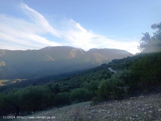 SE VENDE FINCA RUSTICA EN ZAHARA DE LA SIERRA - CADIZ