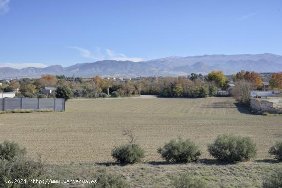 PARCELA URBANA EN ALHENDÍN CON INMEJORABLES VISTAS A LA SIERRA - GRANADA