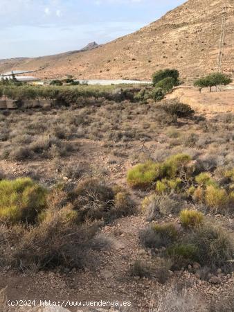 TERRENO A LA VENTA - ALMERIA