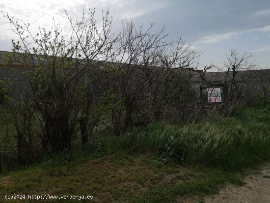 Urbis te ofrece un estupendo SOLAR en venta en Ciudad Rodrigo, Salamanca. - SALAMANCA