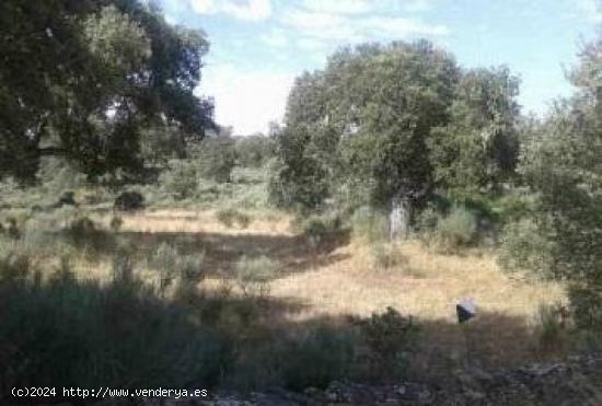  Urbis te ofrece una parcela rústica en venta en Castillejo de Dos Casas, Aldea del Obispo,Salamanca 