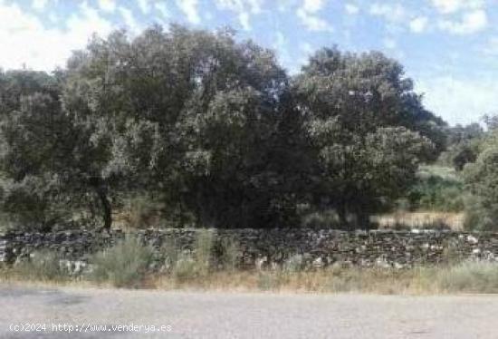 Urbis te ofrece una parcela rústica en venta en Castillejo de Dos Casas, Aldea del Obispo,Salamanca