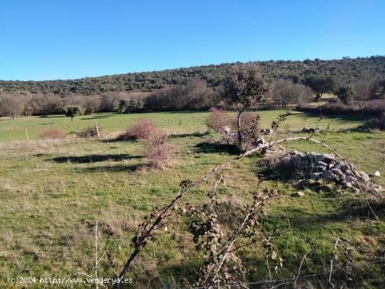 Urbis te ofrece dos terrenos rústicos en venta en Encina de San Silvestre, Salamanca. - SALAMANCA