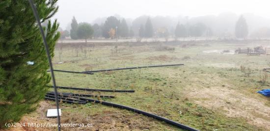 Urbis te ofrece unas parcelas en venta en Boecillo, Valladolid. - VALLADOLID