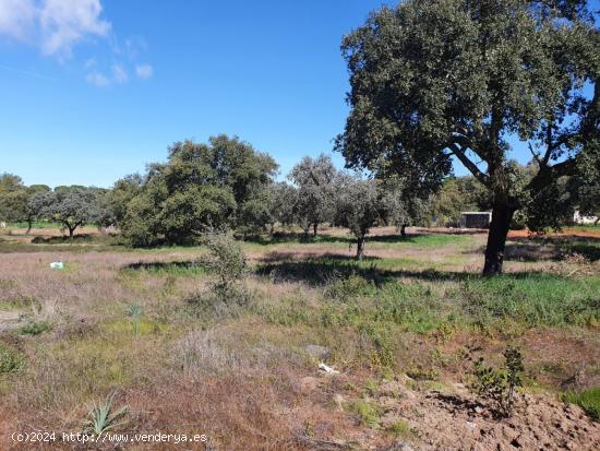 PARCELA EN EL MANANTIO - BADAJOZ