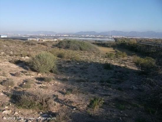 solar en almería - ALMERIA