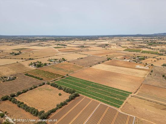 TERRENO URBANIZABLE MANACOR - BALEARES