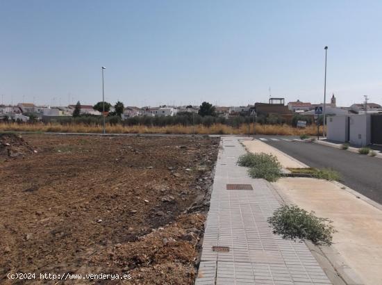 SOLAR URBANO EN CARRIÓN DE LOS CÉSPEDES - SEVILLA