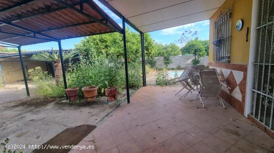 TERRENO RUSTICO CON CHALET -PISCINA-BUHARDILLA Y TRASTERO - SEVILLA