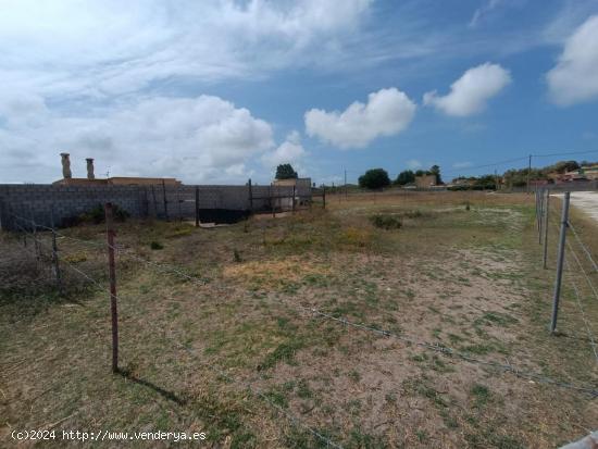 Parcela en zona La Negra - CADIZ