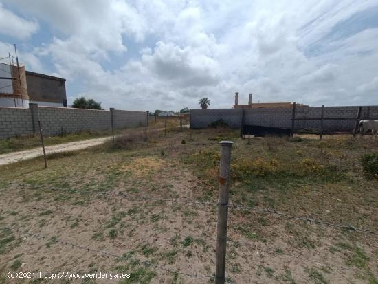 Parcela en zona La Negra - CADIZ